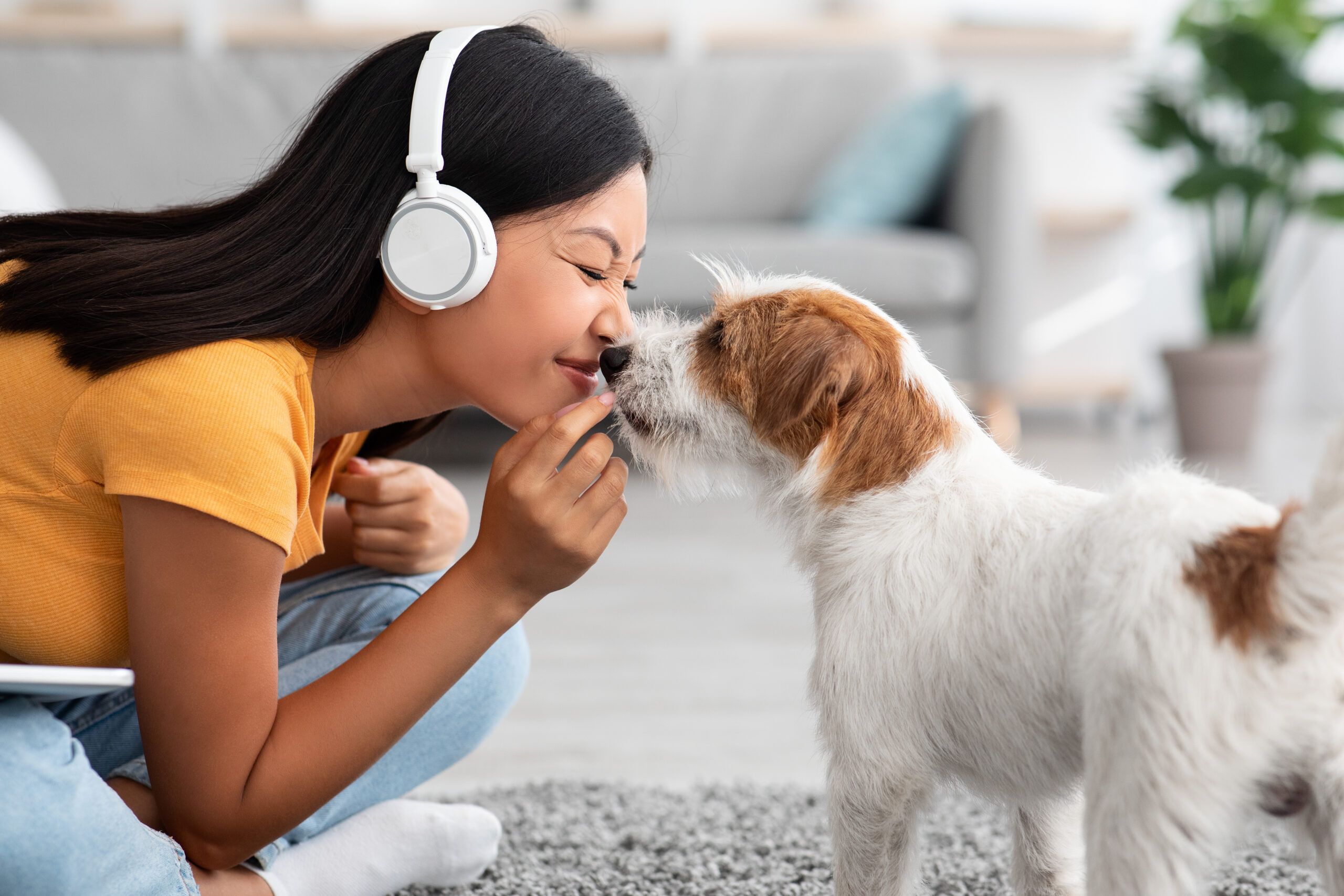Welcome to Trusting Pet!